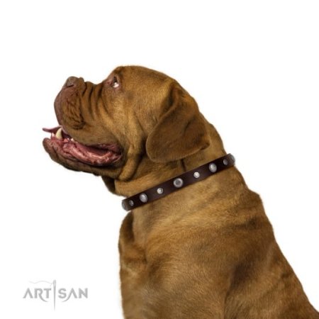 Exzellentes Hundehalsband Leder Braun mit Nieten Design ❁ ✪ für Hunde