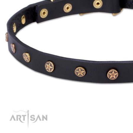Precious Leather Dog Collar with Star Studs of brass, 20 mm