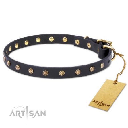 Precious Leather Dog Collar with Star Studs of brass, 20 mm