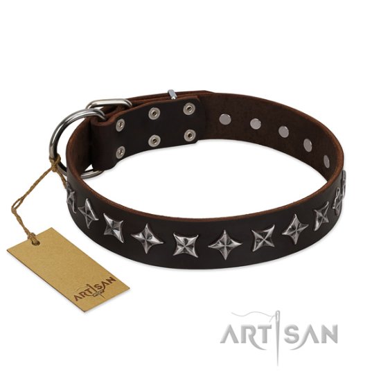 "Stars of Glory" FDT Lederhalsband mit alten versilberten Nieten