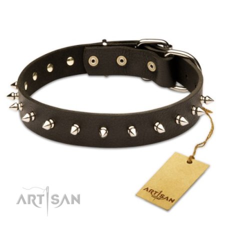 Leather Dog Collar with brass Studs from FDT Artisan