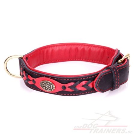 Exclusive Padded Leather Dog Collar
