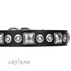 FDT Artisan Dog Collar of Leather "Eternal Beauty and Style"