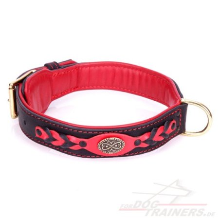 Exclusive Padded Leather Dog Collar