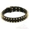 Luxus Hundehalsband aus Leder mit Spikes