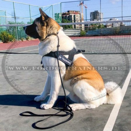 Hundesport Brustgeschirr aus Nylon für Akita Inu