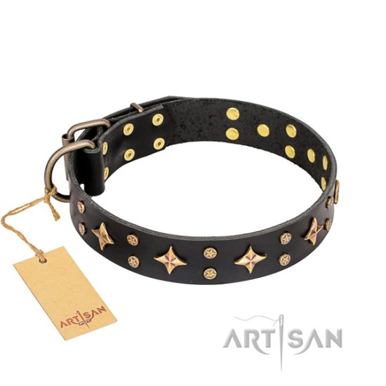 Hundehalsband Schwarz "A La Mode" FDT Artisan - zum Schließen ins Bild klicken