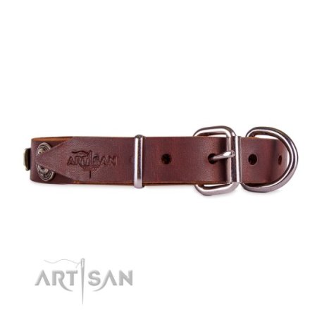 Braunes Leder Halsband mit Platten Verzierung 2,5 cm