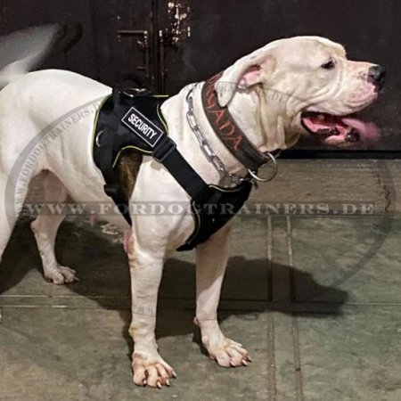 Brustgeschirr aus Nylon in Sattelform für Amerikanische Bulldogge