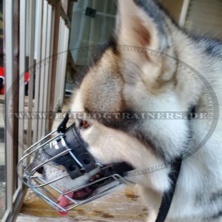 Steel Wire Basket Muzzle for Alaskan Malamute Dog Breed