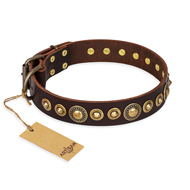 Elegantes Hundehalsband aus Leder "Ancient Warrior" FDT Artisan