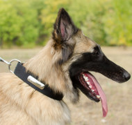 Tervuren dog collar of nylon