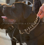 Designer-Hundehalsband aus Echtleder mit Nieten für Cane Corso