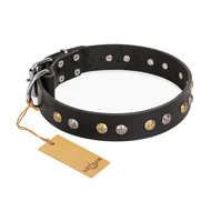 Decorated Dog Collar of Black Genuine Leather, Jewelry Peas