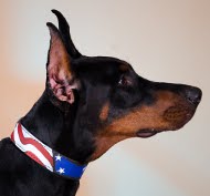 Dog Leather Collar Painted in USA Style Doberman