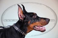 Doberman Dog Leather Collar