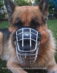Perfect German Shepherd Wire Cage Muzzle