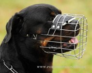 Exceptional Rotweiler Wire Dog Muzzle