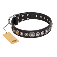 Elegant Studded Collar "Strict Elegance" FDT Artisan