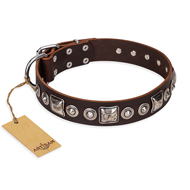 Exklusiv genietetes Hundehalsband von FDT Artisan