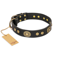 Exclusive Dog Collar of Leather "Golden Radiance" FDT Artisan