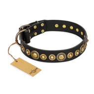 FDT Artisan Dog Collar of Black Leather "Gold Mine"