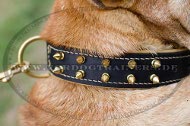 Wunderbares Shar Pei Halsband Leder | Hundehalsband mit Spikes