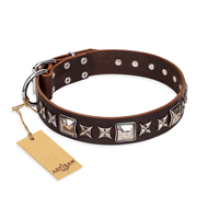 Studded Dog Collar "Perfect Impression" FDT Artisan