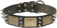 Gorgeous Studded Collar with brass plates and spikes