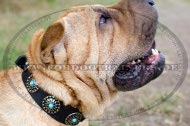 Steine-Design Halsband für Shar Pei | Hundehalsband Leder Breit