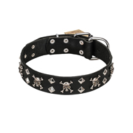 Strong Dog Collar "Rock 'n' Roll Style" FDT Artisan