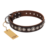 Dog-friendly Leather Dog Collar "Step and Sparkle" FDT Artisan