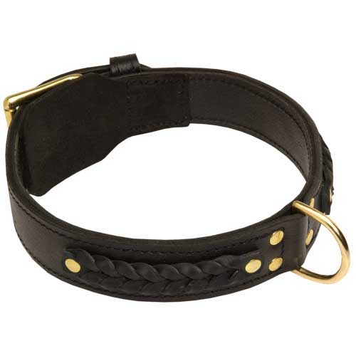 Curogan Pinch Dog Collar
