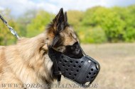 Leather Dog Muzzle for Agitation Work with Tervuren
