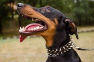 New Studded Collar Leather with Spikes and Studs