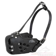 Individual leather attack dog muzzle buy!