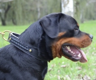 Braided Dog Collar Leather for Rottweiler, Handmade