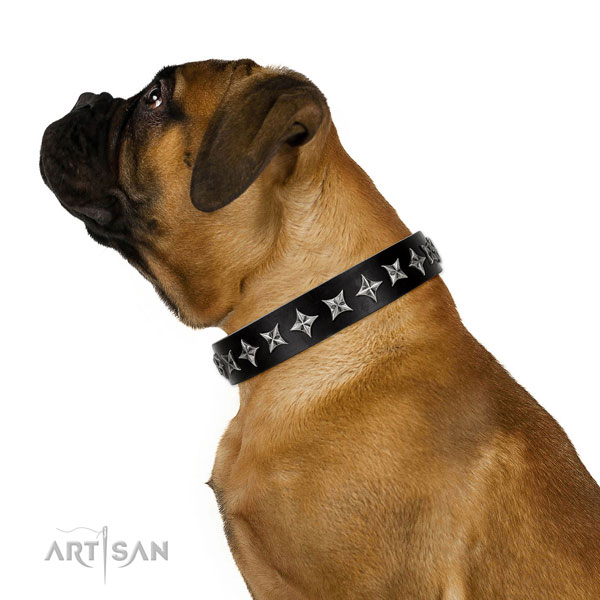 Halsband aus Leder für Bullmastiff