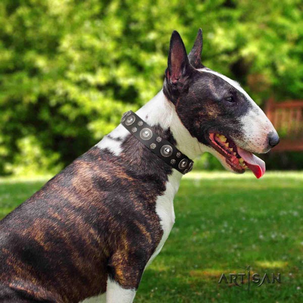 Halsband aus Leder mit schönen Nieten für Bullterrier