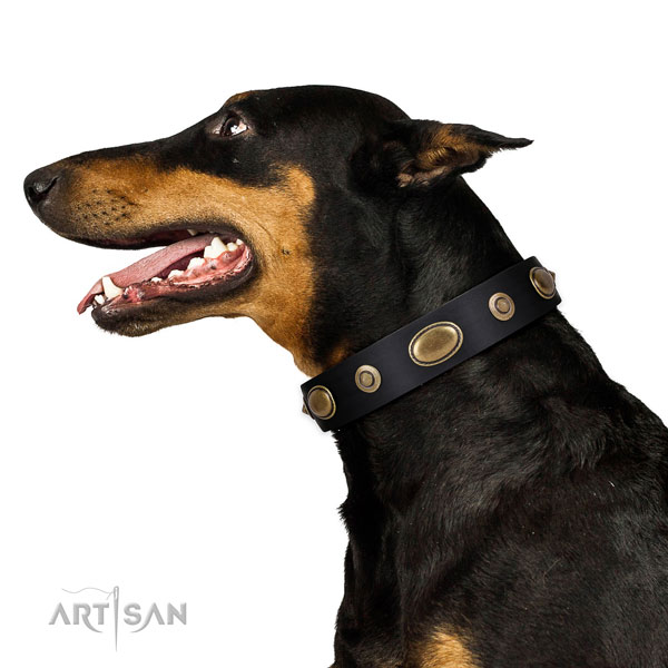 Dobermann Halsband aus braunem Leder