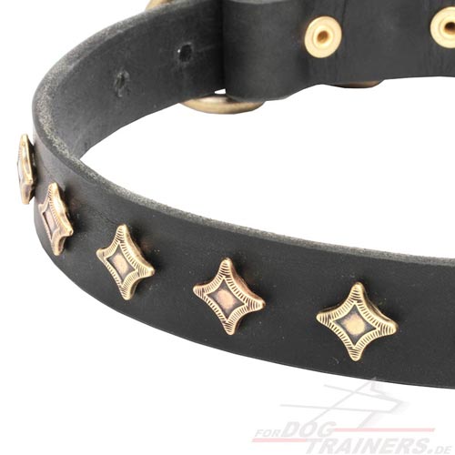 leather dog collar for dog activities