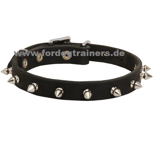 Leather dog collar with studds