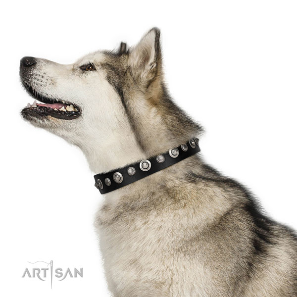 Malamute Halsband aus Leder in schwarz