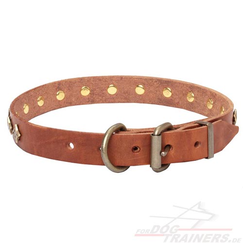 Studded collar for walks