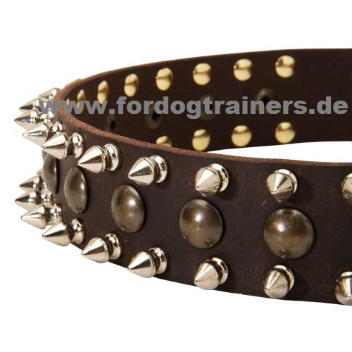 Pit Bull wide leather collar