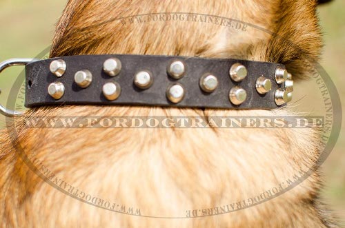 Breites Halsband aus Leder