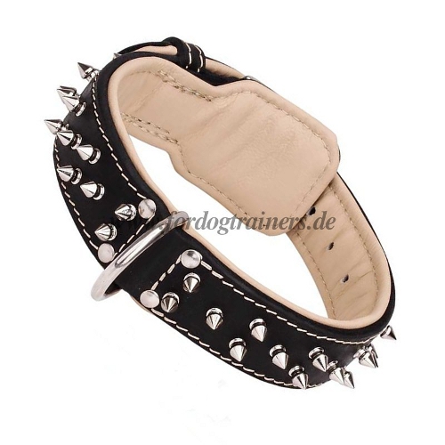 Leather dog collar studded