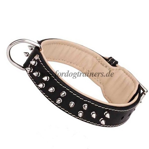 Studded collar with spikes