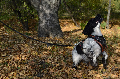 Bemaltes Spaniel Hundegeschirr für Alltag un mehr