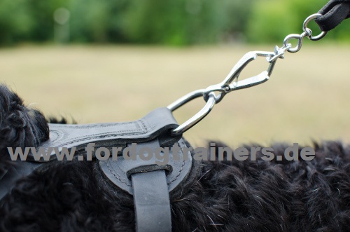 Terrier harness smooth